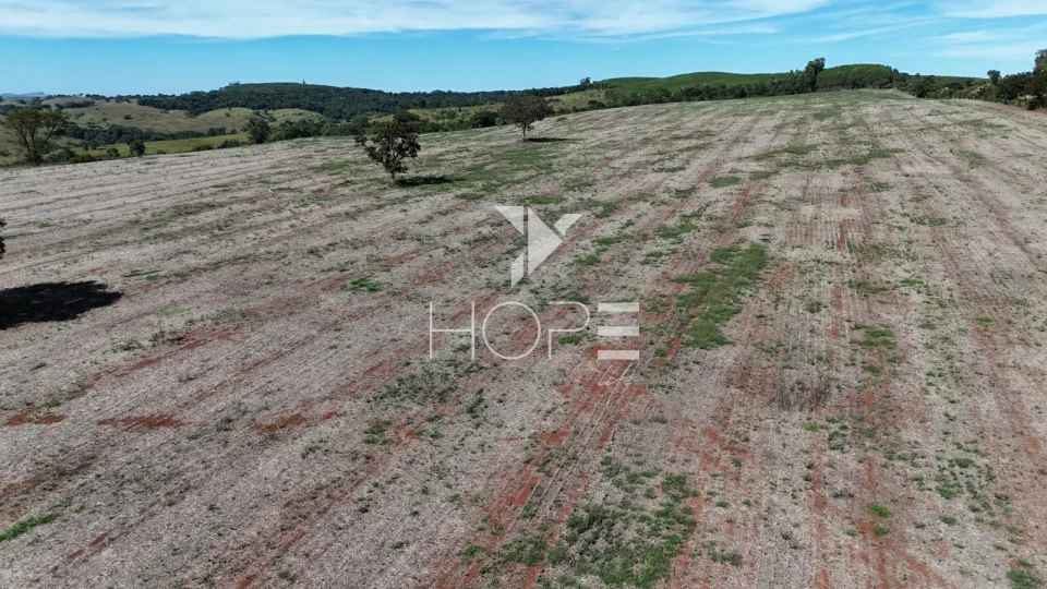 Imagens do imóveis Fazenda à venda com 133 alqueires - agricultura e pecuária - 80% de aproveitamento - Angatuba SP
