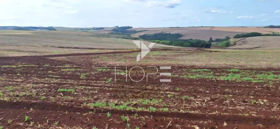 Imagens do imóveis Fazenda à venda com 594 alqueires - terra roxa - pivô autorizado - Cornélio Procópio PR
