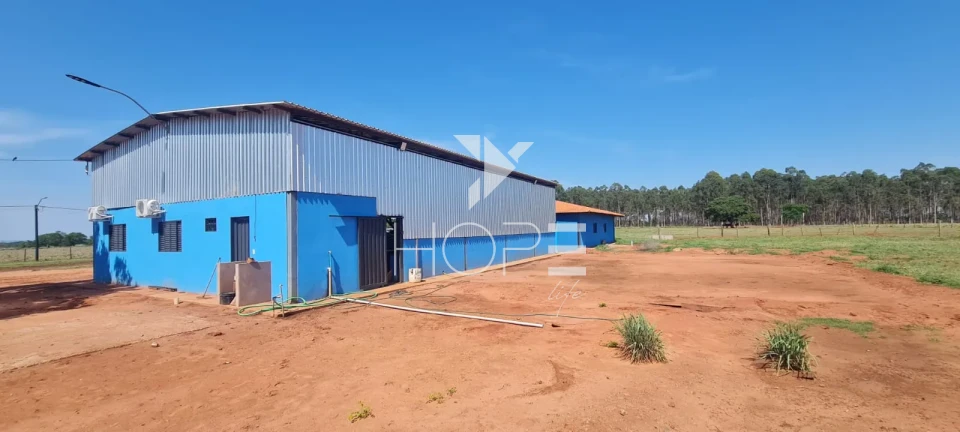 Imagens do imóveis Fazenda em dívida à venda com 322 alqueires - estrutura pecuária completa - Águas Claras MS