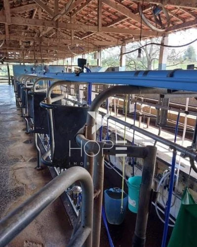 Imagens do imóveis Fazenda à venda 330 Alqueires – agricultura e pecuária estrutura completa – Vale do Paraíba – São Paulo