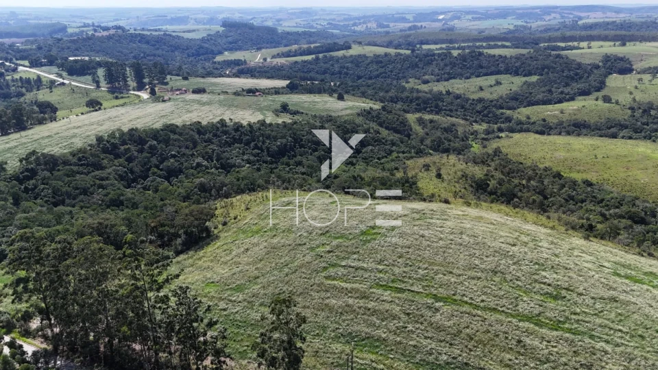 Imagens do imóveis Fazenda à venda com 48.25 alqueires - agricultura e pastagem - frente para o asfalto - São Miguel Arcanjo SP