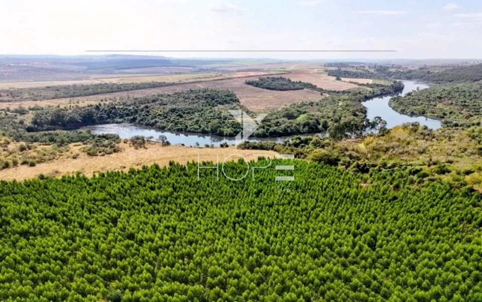 Imagens do imóveis Fazenda à venda com Eucalipto 321 alqueires - 777 hectares - arrendada Para Suzano - beira Rio Tietê - Itu SP