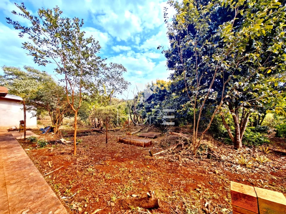 Imagens do imóveis Chácara à venda com 9.200 m² - casa com 180 m² - Estrada do Limoeiro - Londrina PR