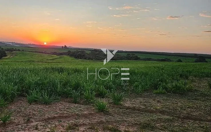 Imagens do imóveis Fazenda à Venda - Solo Misto – 174,24 Hectares – Bauru/SP