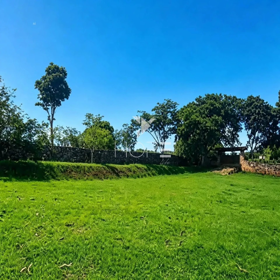Imagens do imóveis Fazenda à Venda em Região Turistica – 282,50 Hectares – São João Del Rei/MG