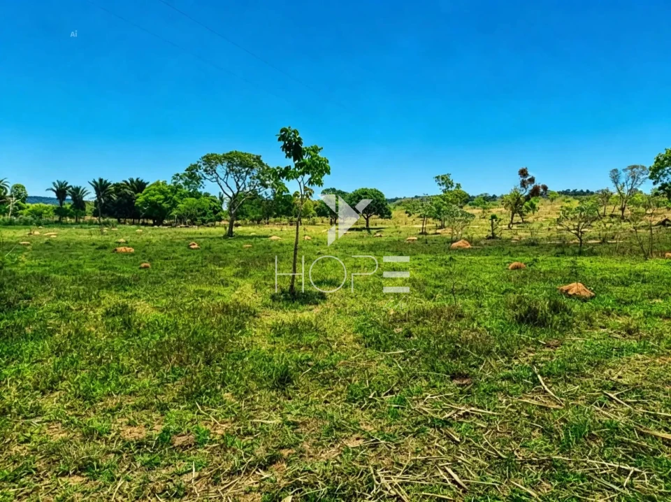 Fazenda à Venda com Aptidão Pecuária – 364 Hectáres – Três Marias/MG