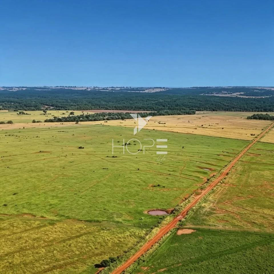 Imagens do imóveis Fazenda à Venda com Aptidão Pecuária - Topografia Plana – 560 Alqueires – Rosana/SP - Fronteira SP - PR - MS