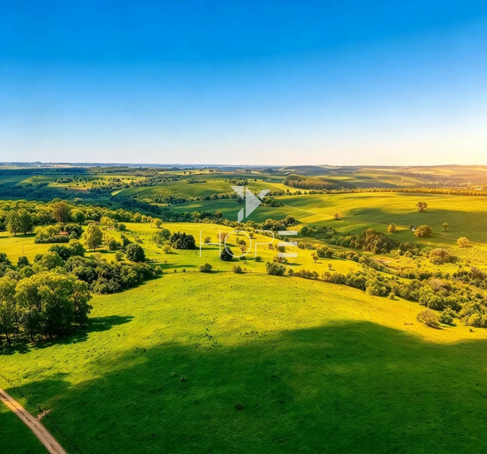 Imagens do imóveis Fazenda à Venda – 99,3 Hectares – Avaré/SP