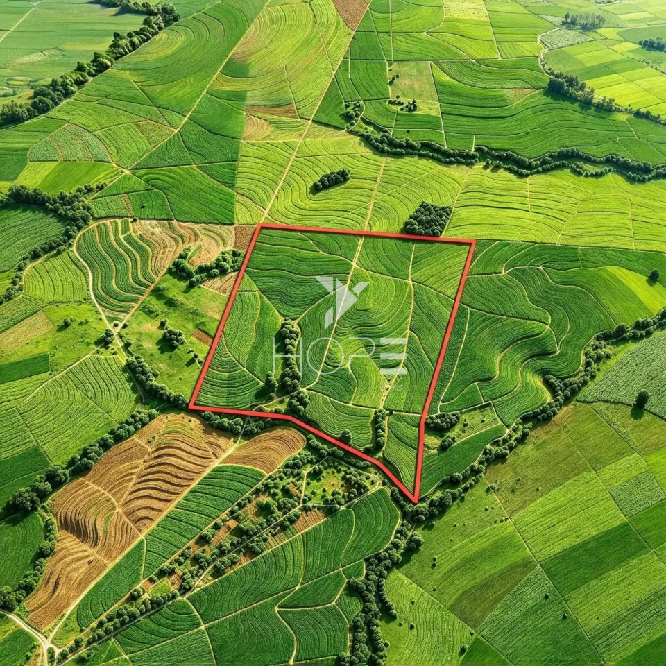 Imagens do imóveis Fazenda à Venda – 100 Alqueires – Região da Usina Alto Alegre – Colorado/PR