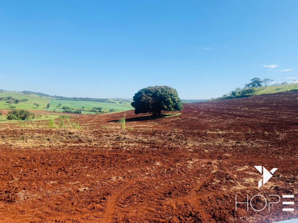 Imagens do imóveis Fazenda agrícola e pecuária à venda – 84 alqueires – Sertanópolis/PR