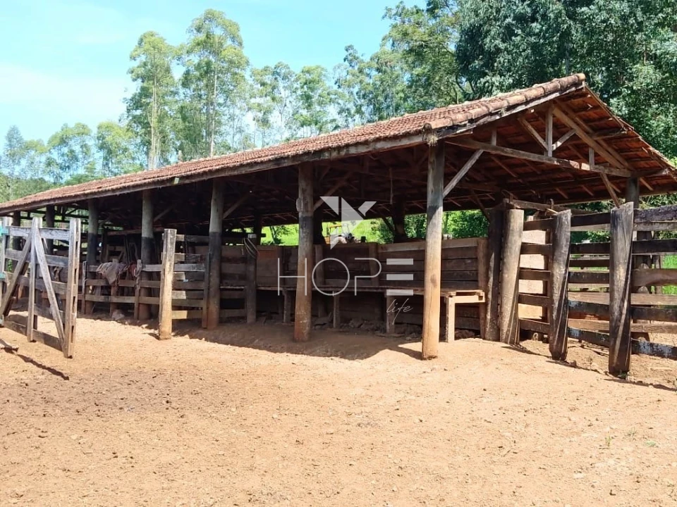 Fazenda à venda com 76 alqueires - pecuária com potencial agrícola - Guaravera - Londrina PR