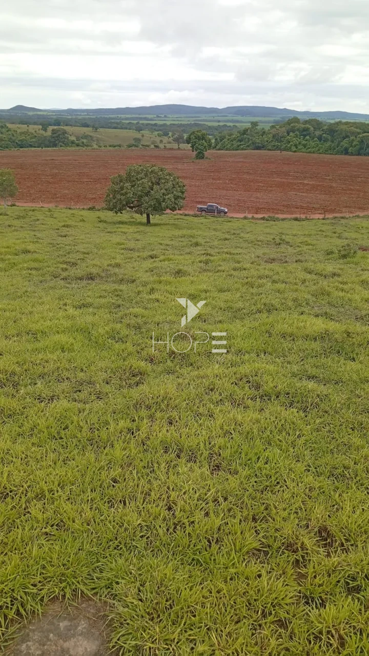 Imagens do imóveis Fazenda à venda com 260 alqueires - 201 formados - confinamento - apta para pivô - Mozarlândia GO