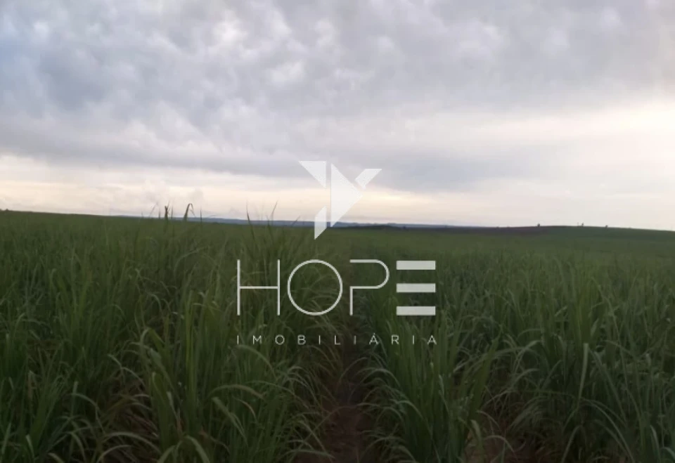 Imagens do imóveis Fazenda 304 Alqueires - Cana Plantada e Arrendada - Mineiros GO - 1.470 Hectares