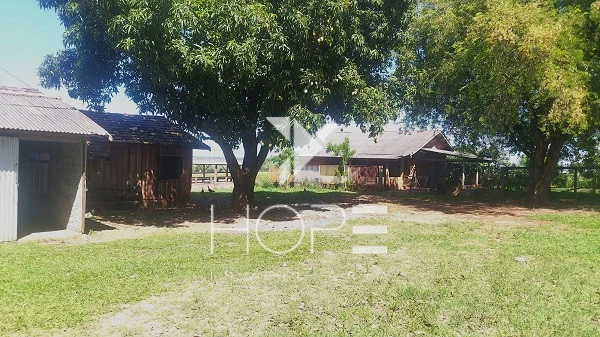 Imagens do imóveis Sítio à venda 13 alqueires pecuária benfeitorias completas – Porto São José – São Pedro do Paraná – próximo a Porto Rico