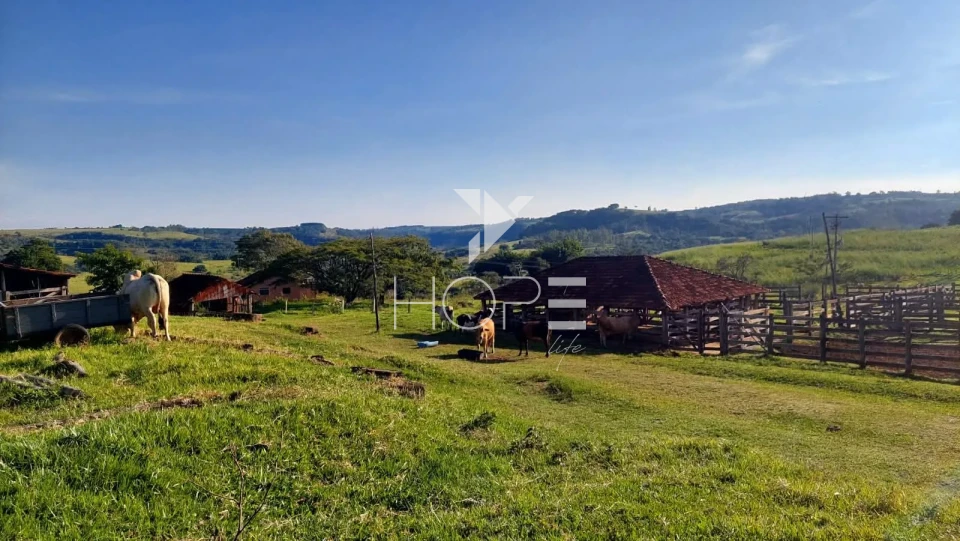 Imagens do imóveis Fazenda à venda com 204.5 alqueires - pecuária bovina - estrutura completa - região de Marília SP
