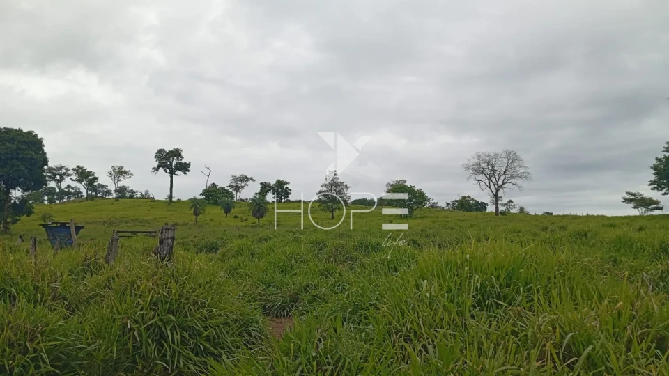 Imagens do imóveis Fazenda à venda com 260 alqueires - 201 formados - confinamento - apta para pivô - Mozarlândia GO