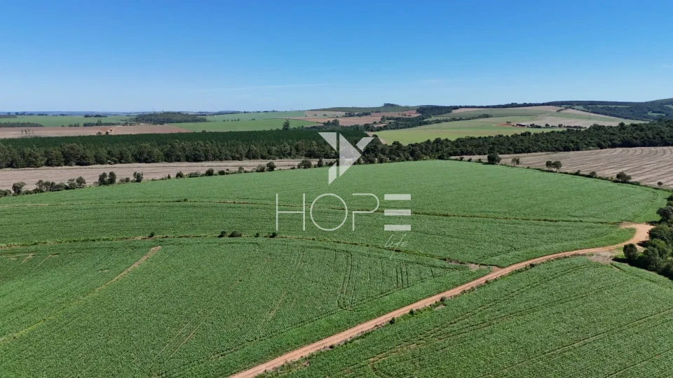 Imagens do imóveis Fazenda à venda com 75 alqueires (181.5 hectares) - agricultura e eucalipto - São Miguel Arcanjo SP
