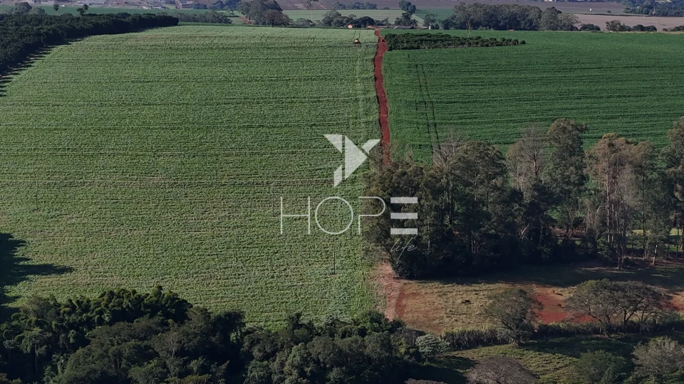 Imagens do imóveis Sítio à venda com 15 alqueires - 363.000m² - região do Bratislava - Londrina PR