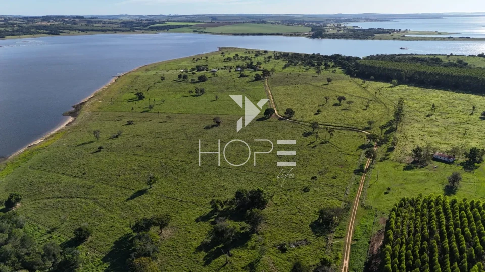 Imagens do imóveis Fazenda à venda com 148 alqueires - eucalipto e pastagem - margem para represa - Paranapanema SP
