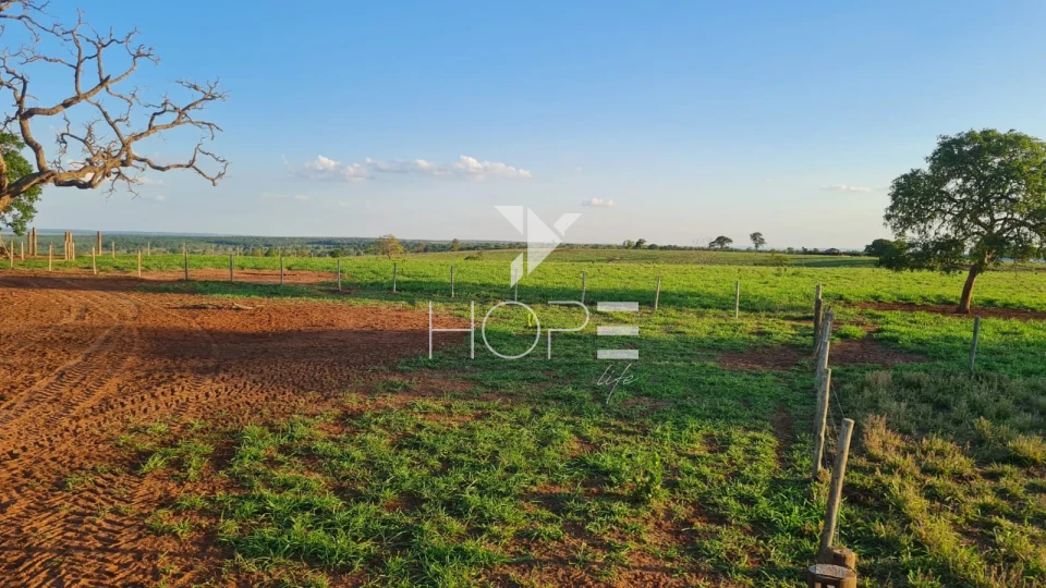Imagens do imóveis Fazenda em dívida à venda com 322 alqueires - estrutura pecuária completa - Águas Claras MS