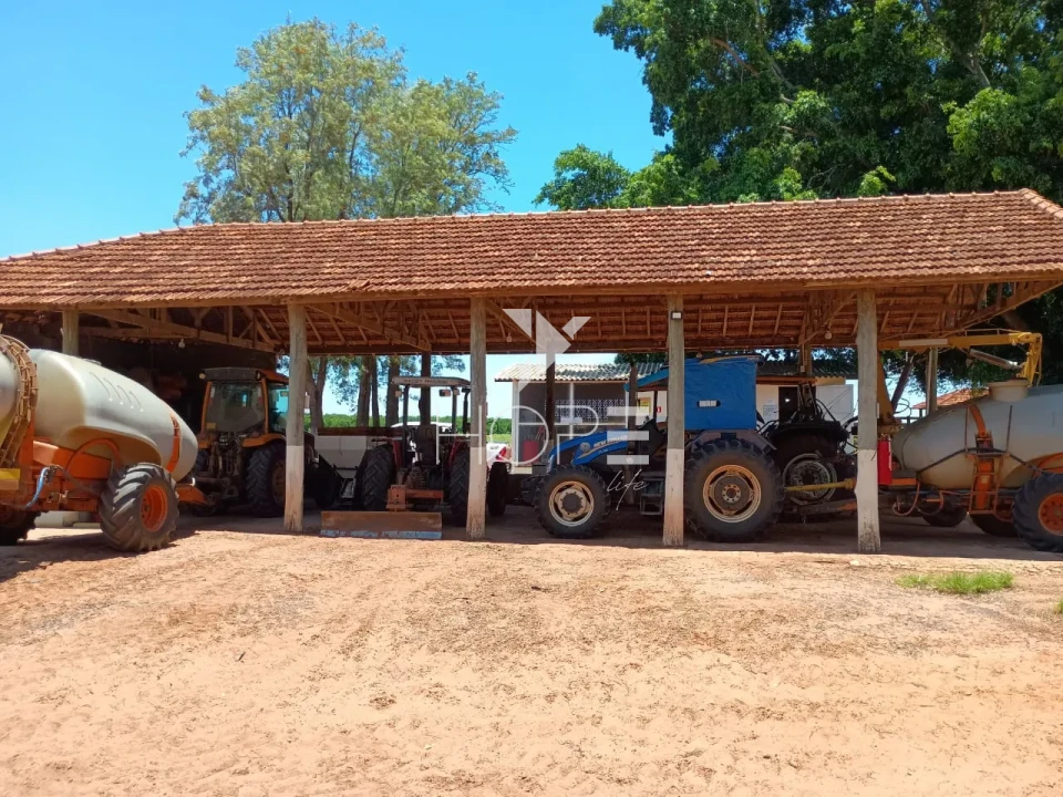 Imagens do imóveis Fazenda de laranja à venda com 77.5 alqueires - 77.150 pés - certificado para exportação - Região de Marília SP