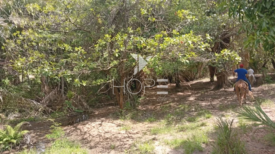 Imagens do imóveis Fazenda à venda com 72 alqueires - 55 em pasto - pronta - curral completo - região de Morro Agudo - Faina GO