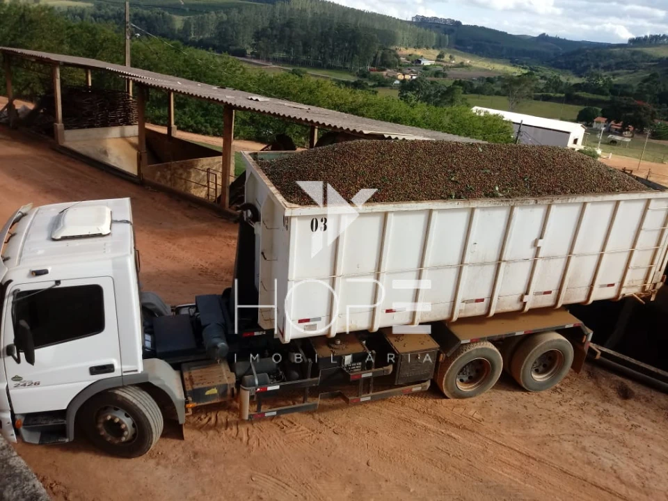 Imagens do imóveis fazenda cafeeira à venda 970 hectares produção de exportação – município de Capelinha – Minas Gerais