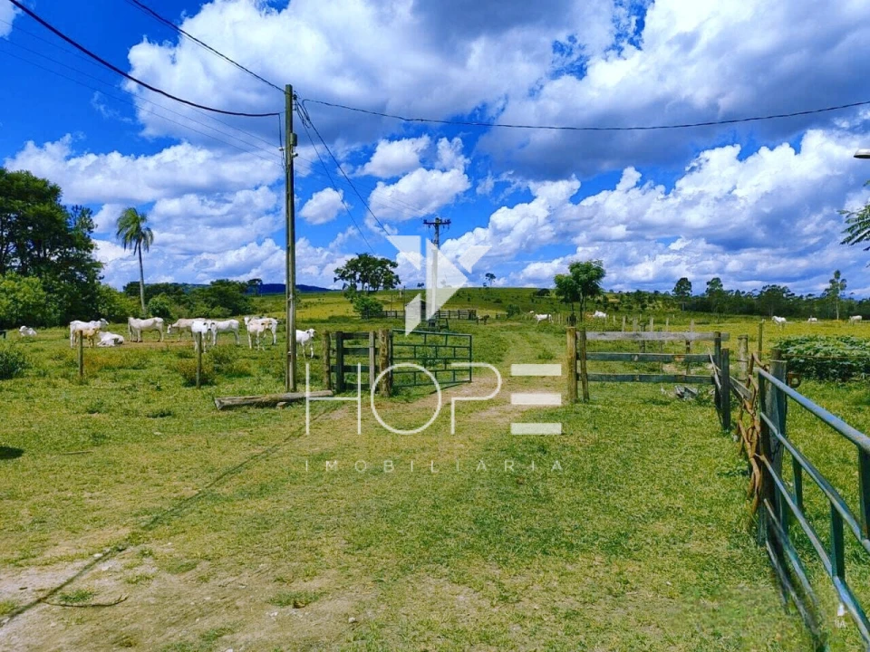 Fazenda à Venda na Região de Botucatu/SP – 294 Alqueires com Frente para a Rodovia Castelo Branco