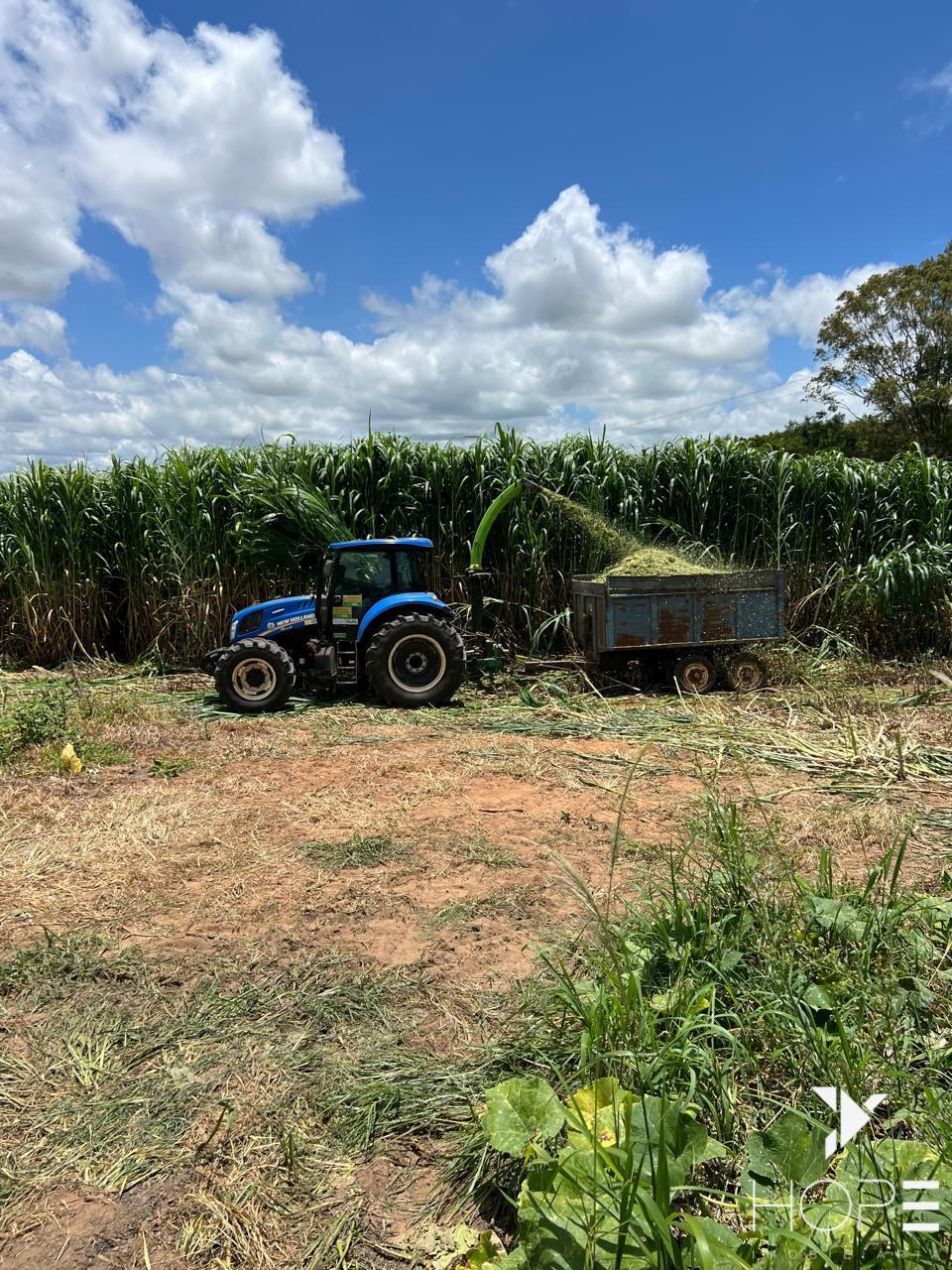 Imagens do imóveis Sítio à Venda com 6 Alqueires em Siqueira Campos – Norte Pioneiro do Paraná