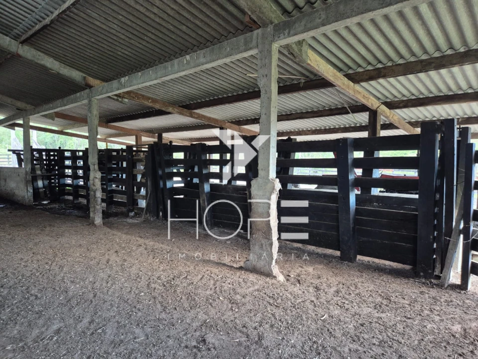 Imagens do imóveis Fazenda Produtiva à Venda na Região de Registro/SP – 174 Alqueires – Estrutura para Pecuária Leiteira – Abundância de Água