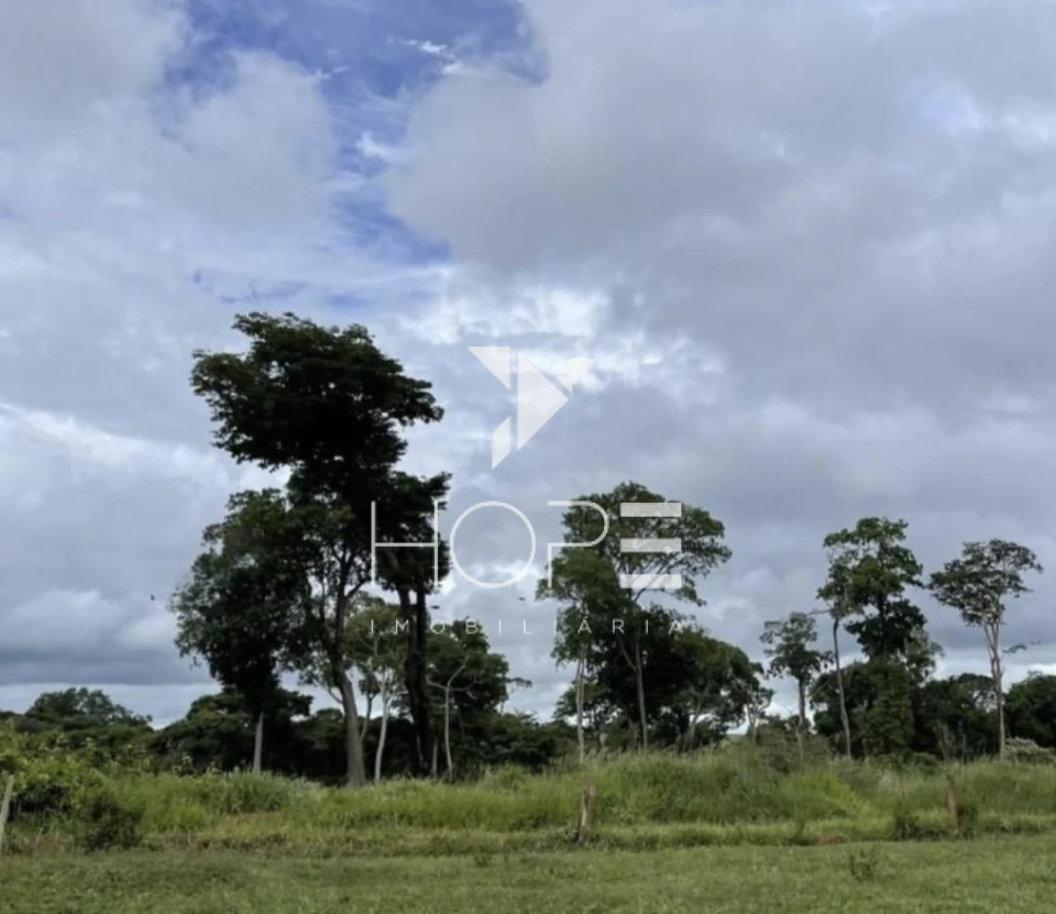 Imagens do imóveis Fazenda 207 Alqueires - Dupla Aptidão - Cana Arrendada - Mineiros GO - 7 km do Asfalto