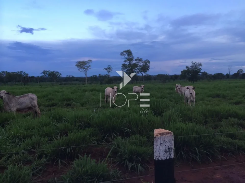 Imagens do imóveis Propriedade à Venda de Alto Padrão - Asfaltada e Homologada C/Hangar – 3.872 Hectares – São Miguel do Araguaia – GO