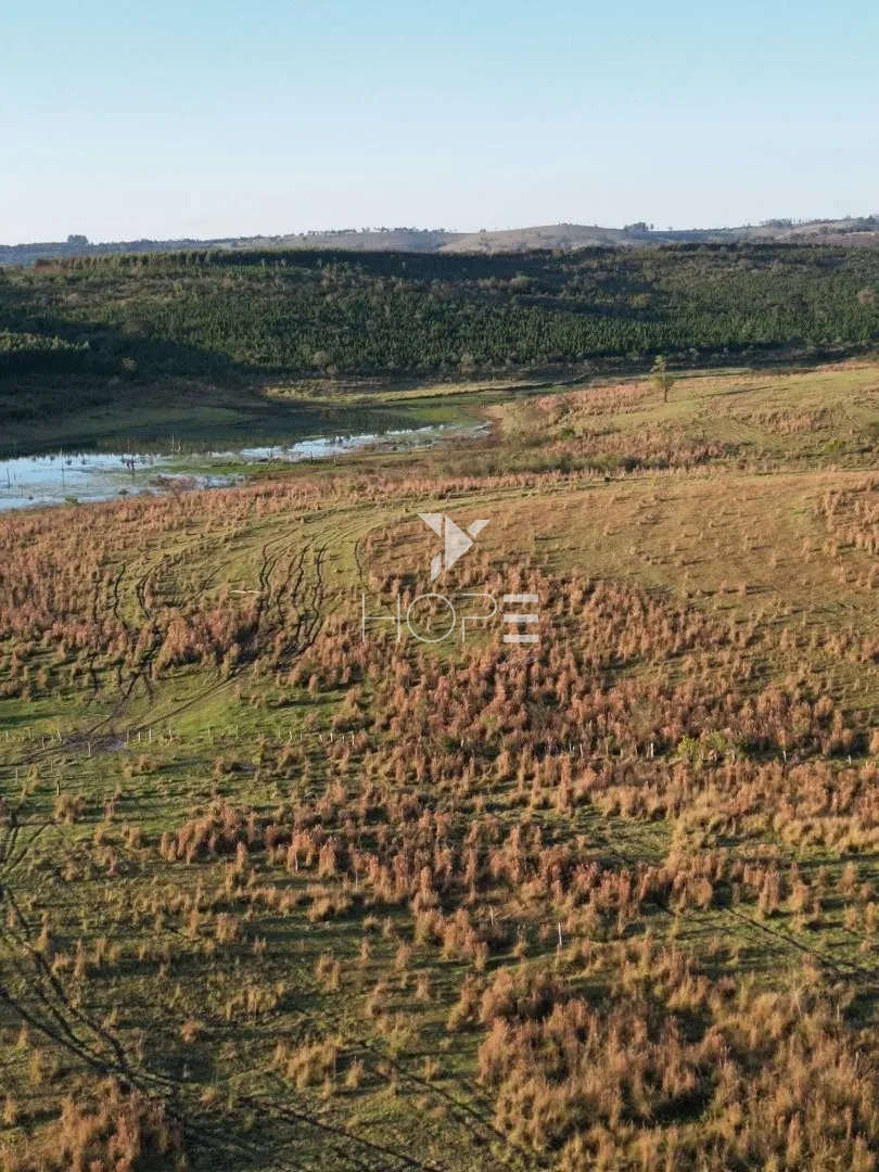 Imagens do imóveis Fazenda à Venda na Região de Paranaparema – 96,8 Hectares – Itapetininga/SP
