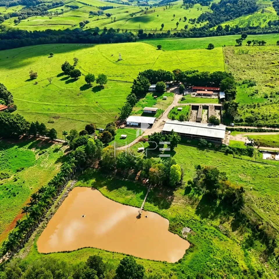 Imagens do imóveis Fazenda à Venda - Porteira Fechada – 50,8 Alqueires – Região de Itapetininga/SP