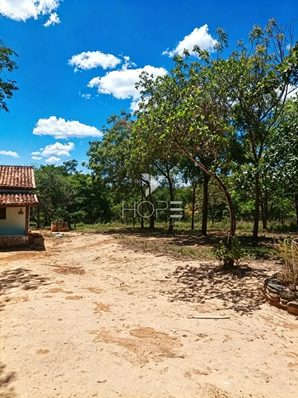 Fazenda à Venda com Aptidão Pecuária – 364 Hectáres – Três Marias/MG