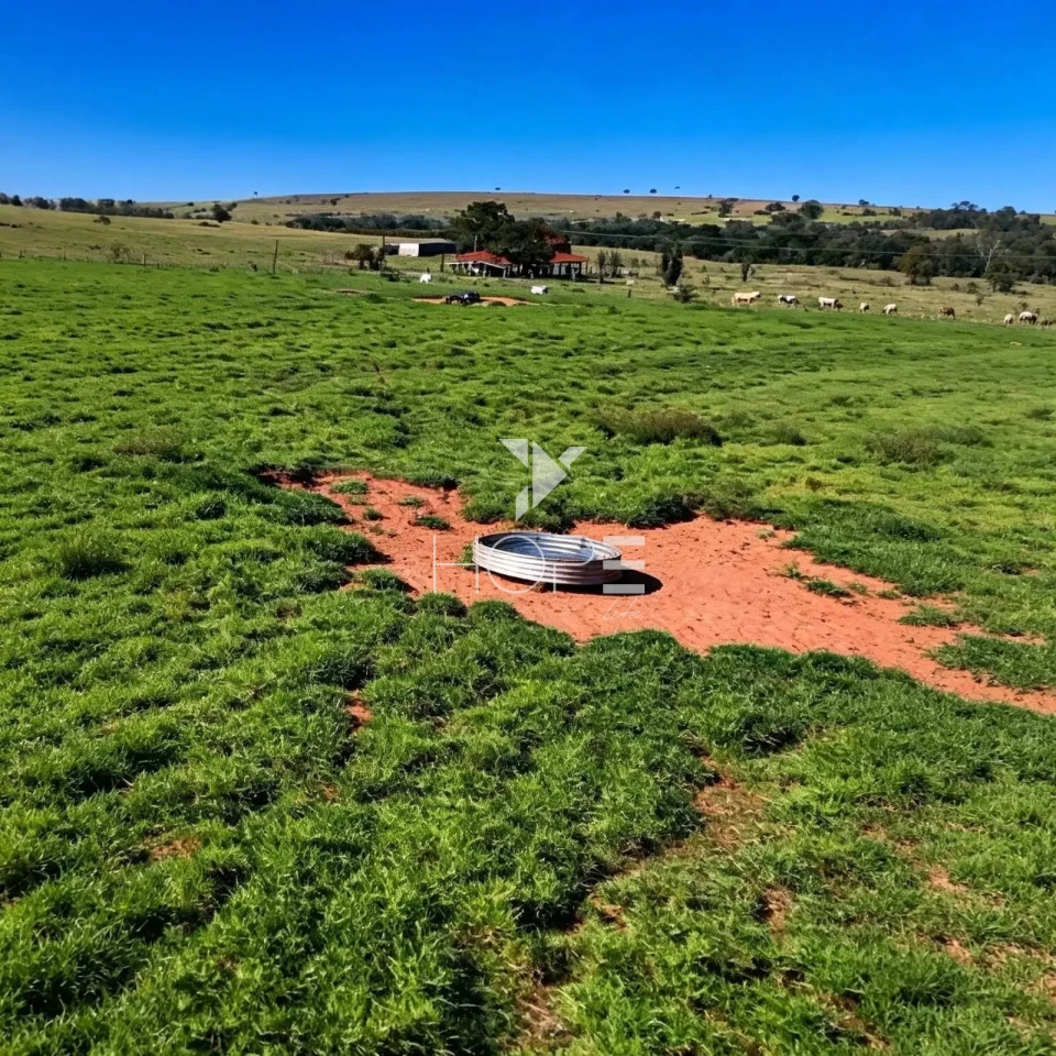 Imagens do imóveis Fazenda à Venda com Aptidão Pecuária - Topografia Plana – 560 Alqueires – Rosana/SP - Fronteira SP - PR - MS