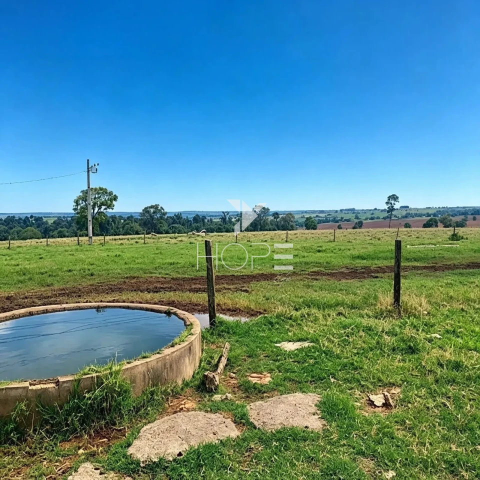 Imagens do imóveis Fazenda à Venda - 3km da Cidade – 183,77 Alqueires – Paranavaí – Paranavaí/PR