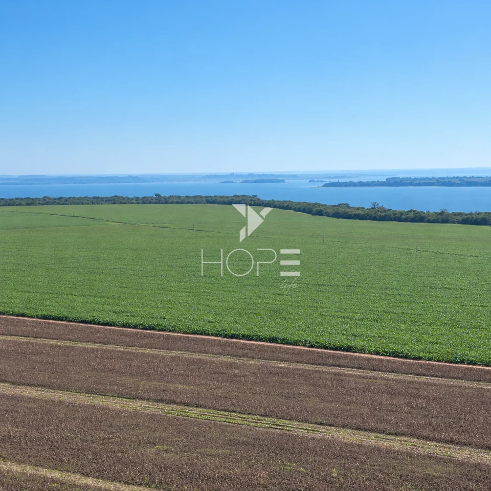 Imagens do imóveis Fazenda á Venda - 755 Hectares - Frente para a Represa do Rio Tibagi - Sertaneja/PR