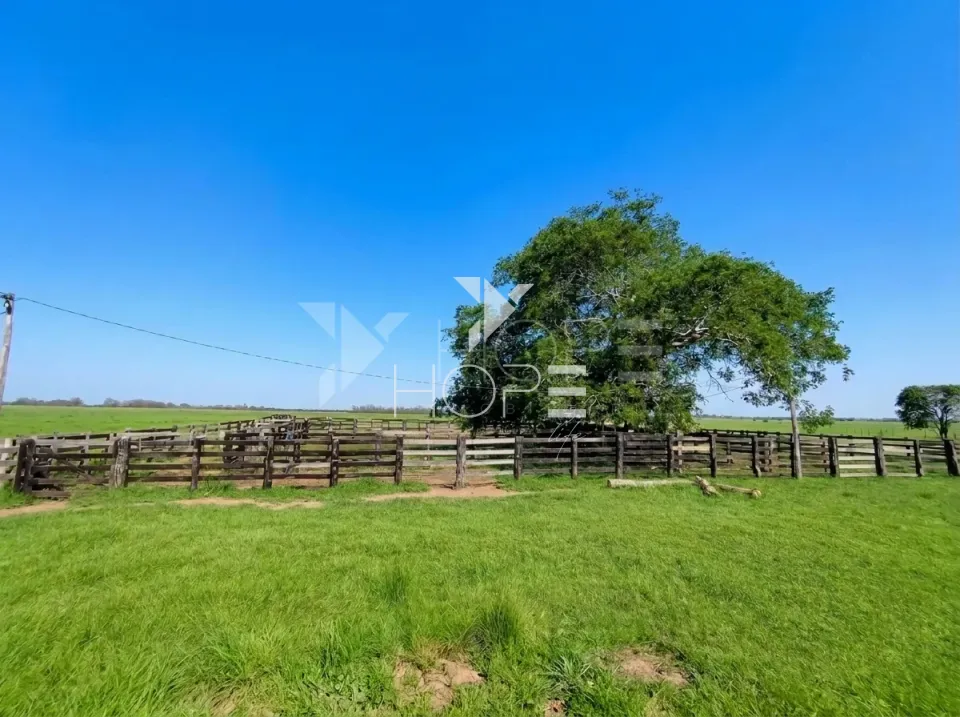 Imagens do imóveis Fazenda Pecuária à Venda – 1.000 Hectares – Estrutura para Pecuária – Poconé/MT
