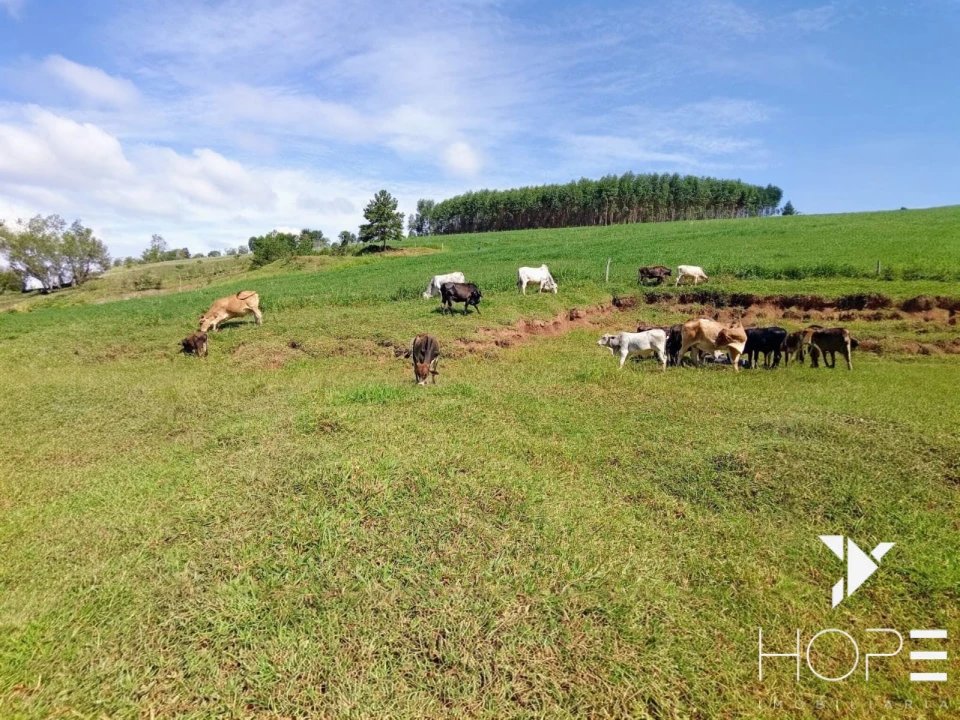 Imagens do imóveis Sítio à venda – 18 hectares – Tamarana/PR