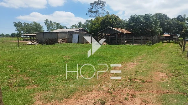 Imagens do imóveis Sítio à venda 13 alqueires pecuária benfeitorias completas – Porto São José – São Pedro do Paraná – próximo a Porto Rico