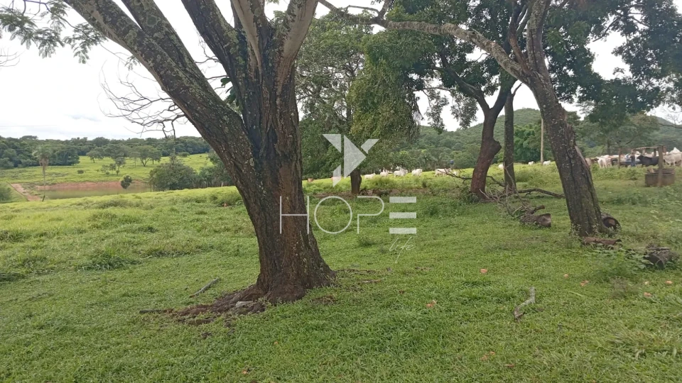 Imagens do imóveis Fazenda à venda com 54 alqueires - renda com cana - mansão de luxo - dupla aptidão - próximo a Uruanã GO