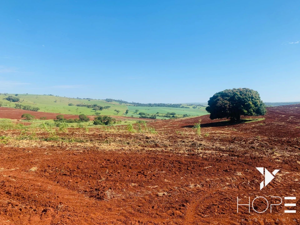 Imagens do imóveis Fazenda agrícola e pecuária à venda – 84 alqueires – Sertanópolis/PR