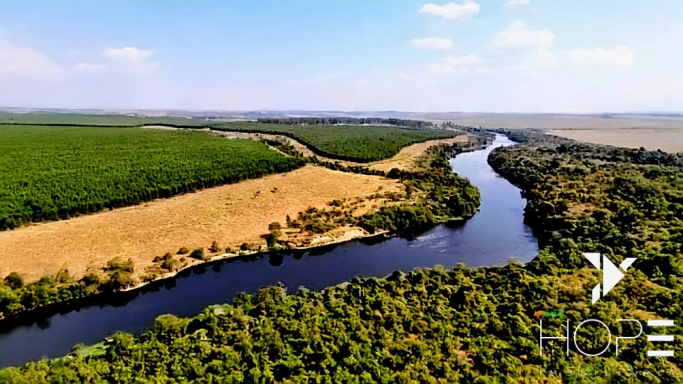 Fazenda com Eucalipto à Venda em Itu/SP – Renda Garantida com Arrendamento à Suzano
