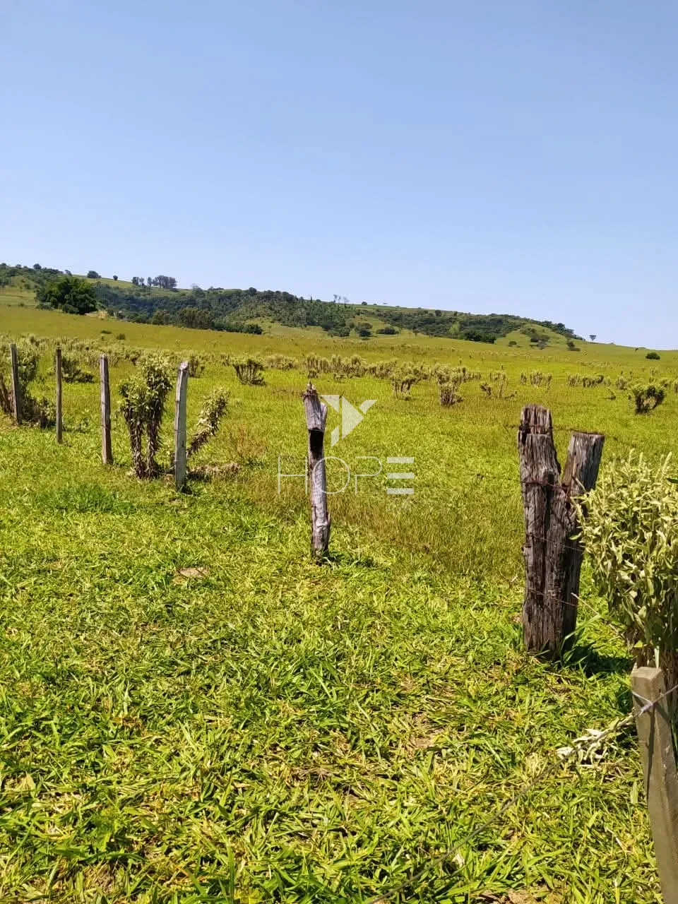 Imagens do imóveis Fazenda à venda com 204.5 alqueires - pecuária bovina - estrutura completa - região de Marília SP