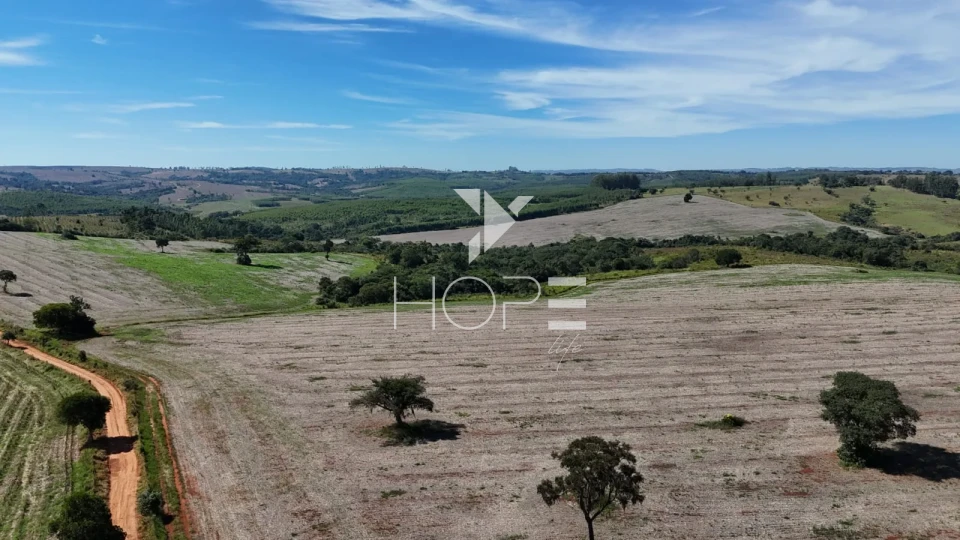 Imagens do imóveis Fazenda à venda com 133 alqueires - agricultura e pecuária - 80% de aproveitamento - Angatuba SP