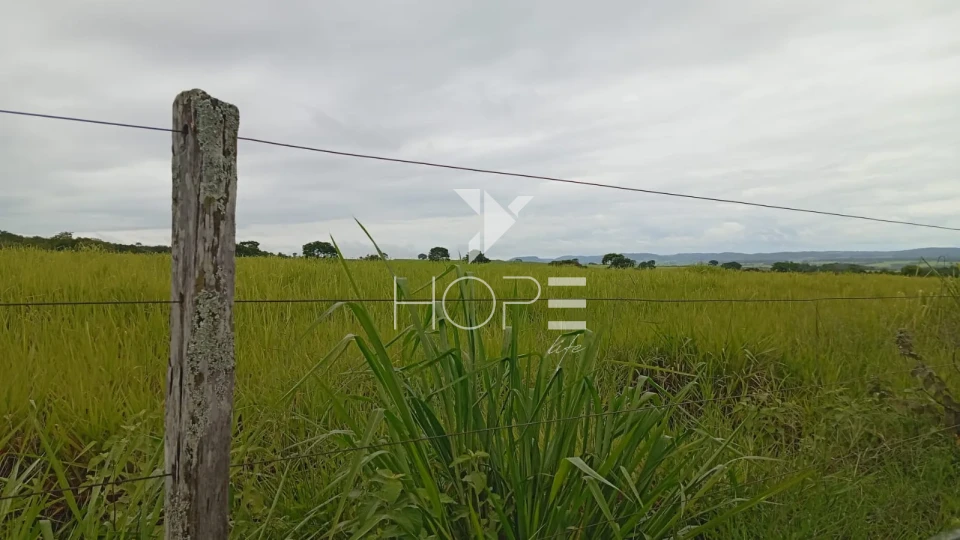 Imagens do imóveis Fazenda à venda com 260 alqueires - 201 formados - confinamento - apta para pivô - Mozarlândia GO
