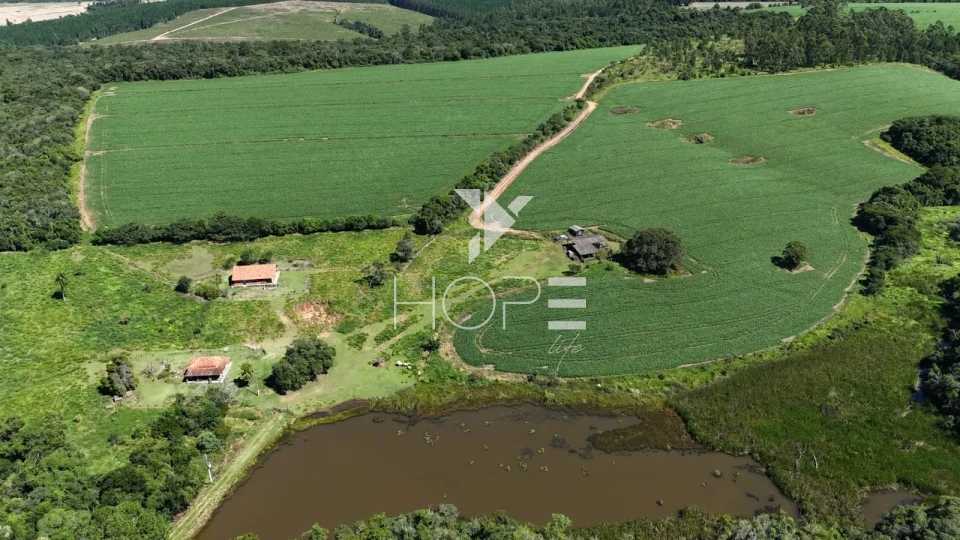 Imagens do imóveis Fazenda à venda com 75 alqueires (181.5 hectares) - agricultura e eucalipto - São Miguel Arcanjo SP