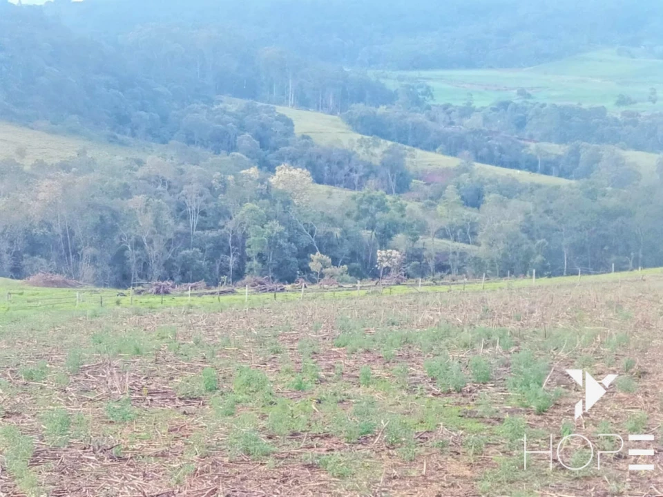 Imagens do imóveis Sítio à venda em Tamarana – Localização privilegiada na beira da estrada
