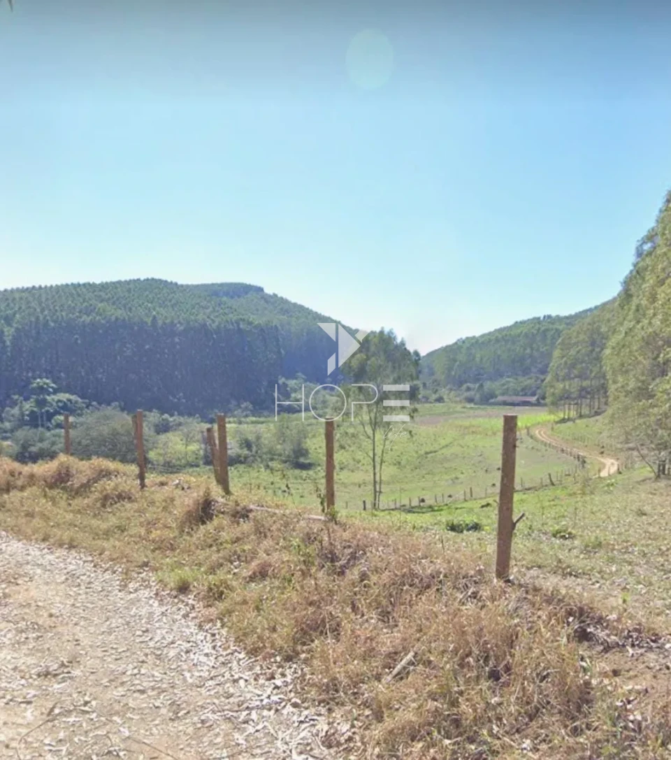 Imagens do imóveis Fazenda de eucalipto à venda com 124 alqueires - alto potencial florestal - Vale do Paraíba - Paraíbuna SP